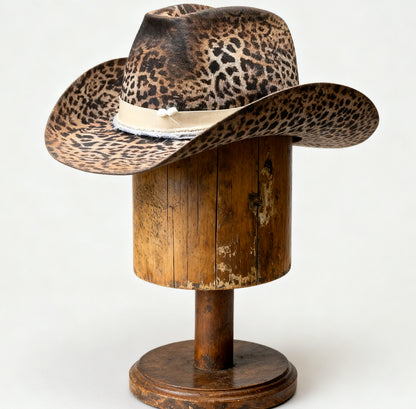 A Star Is Born – Leopard