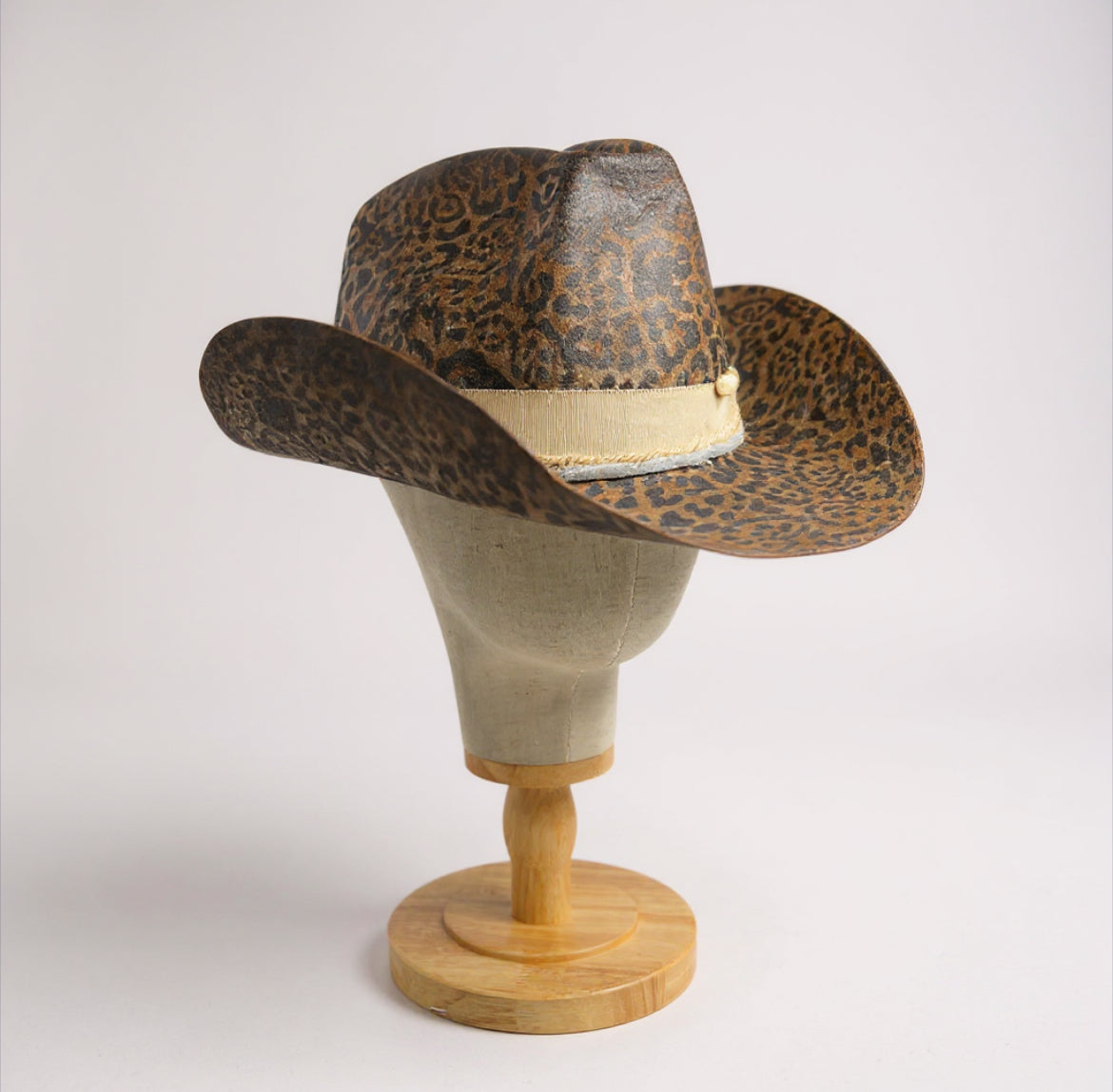 A Star Is Born – Leopard